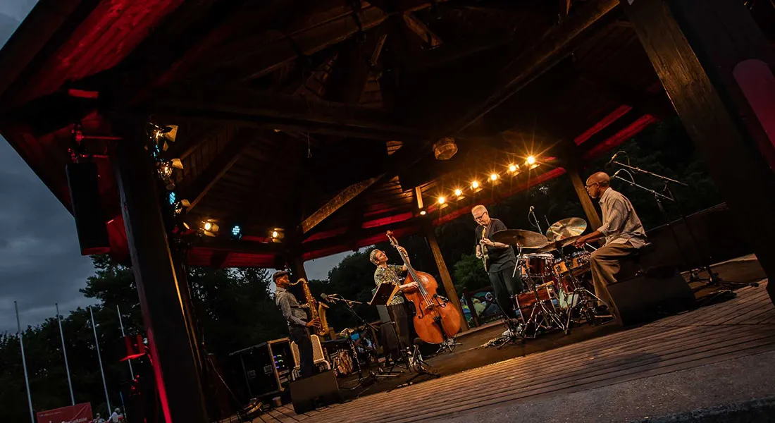 Bill Frisell beim Jazzsommer im Botanischen Garten © Herbert Heim