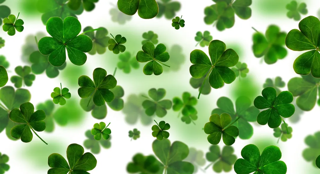 irish