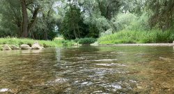 Paardurchbruch Ottmaring
