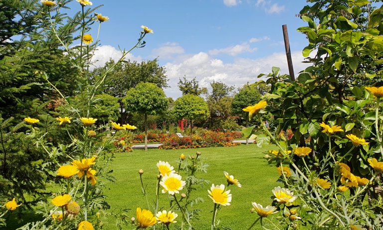 Sommeraussicht Botanischer Garten Stadt Augsburg