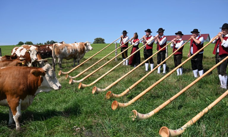 Alphornbläser