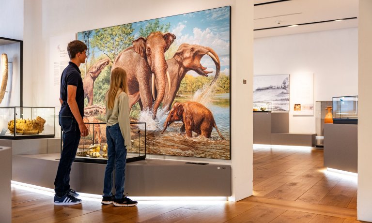 Zwei junge BesucherInnen in der Archäologie Abteilung des Museums im Wittelsbacher Schloss Friedberg.