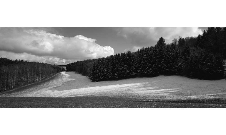 Maria Vesperbild © Wilfried Edelmann