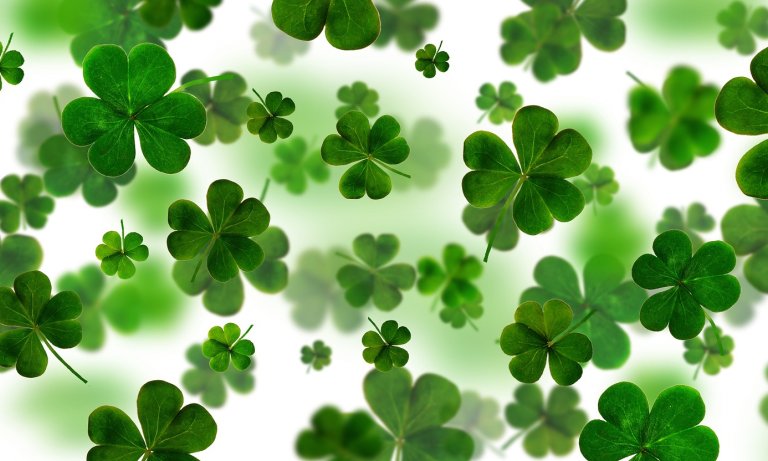 irish